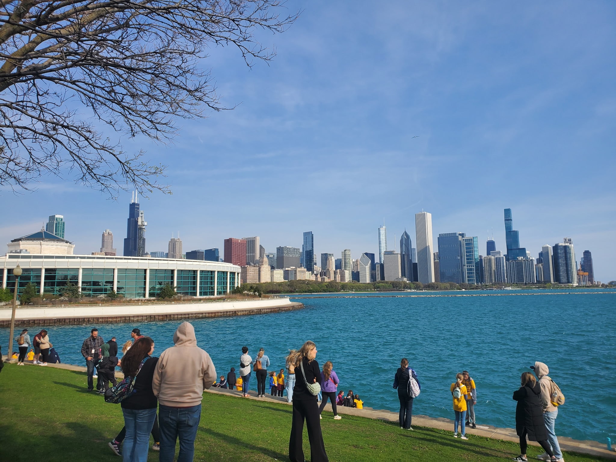 Chicago Skyline — Chicago, IL