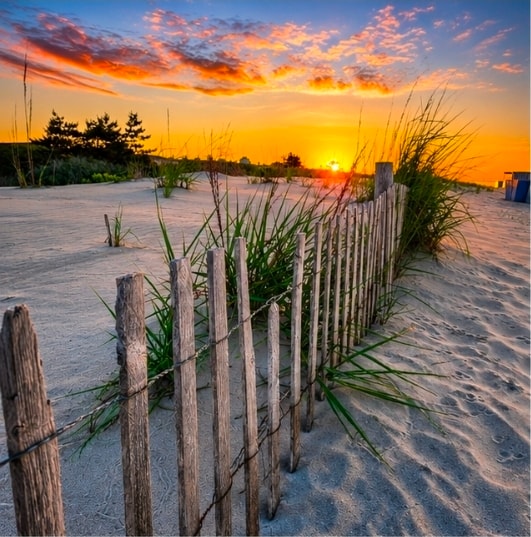 Coastal Dunes — On the Road
